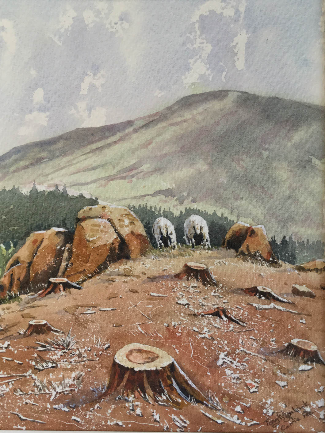 Sheep over Corrie Fee, Glen Clova